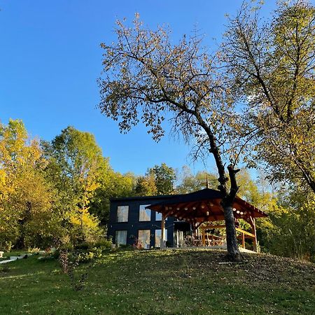 Casa De Pe Un Deal-Provita De Sus-Prahova Exterior photo