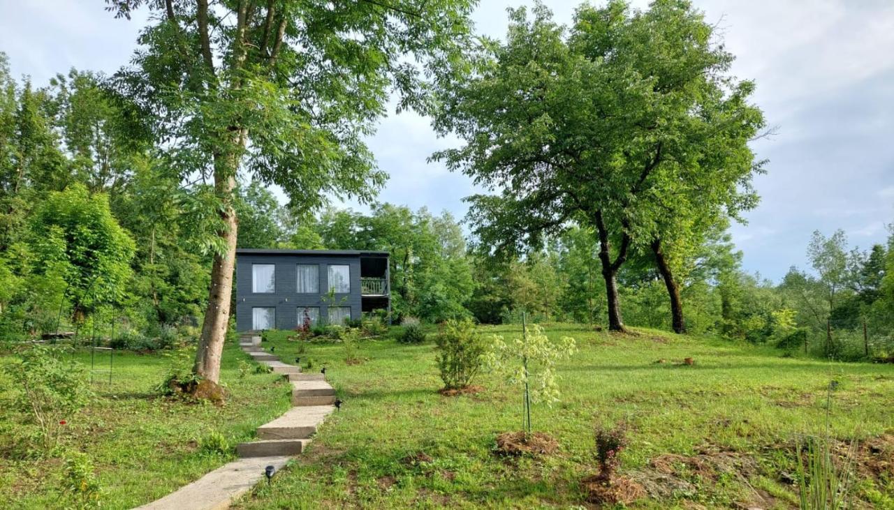 Casa De Pe Un Deal-Provita De Sus-Prahova Exterior photo